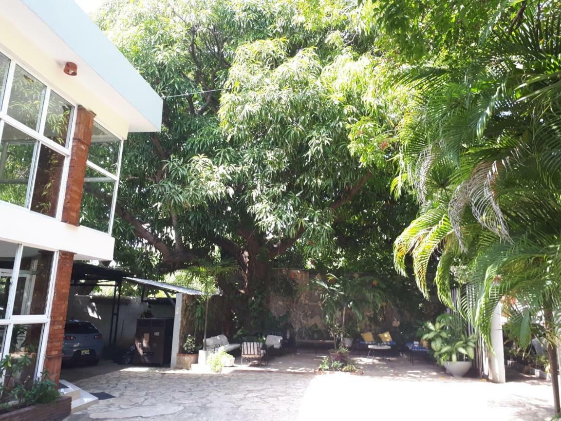 Hotel Alcaldeza - Garden House Maria Guadalupe サントドミンゴ エクステリア 写真