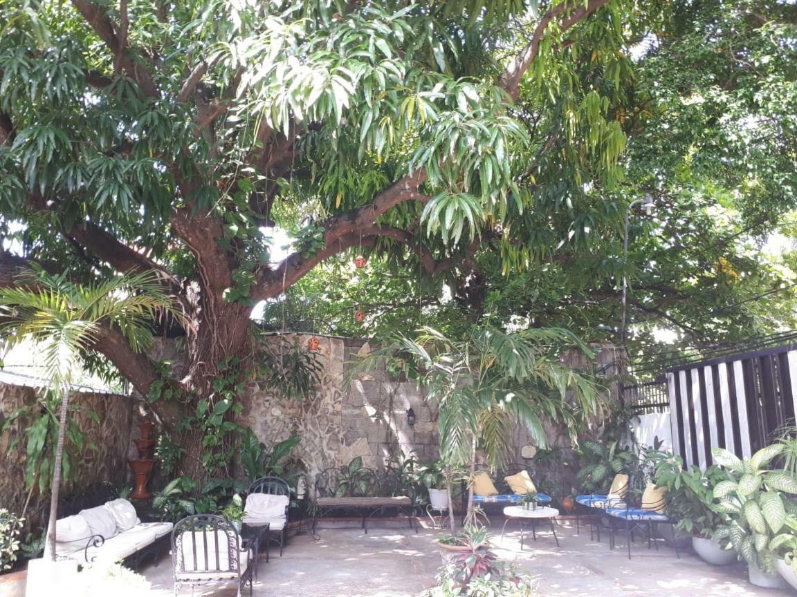 Hotel Alcaldeza - Garden House Maria Guadalupe サントドミンゴ エクステリア 写真