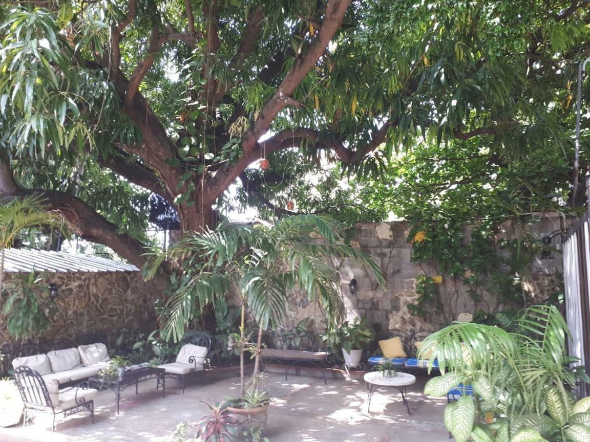 Hotel Alcaldeza - Garden House Maria Guadalupe サントドミンゴ エクステリア 写真