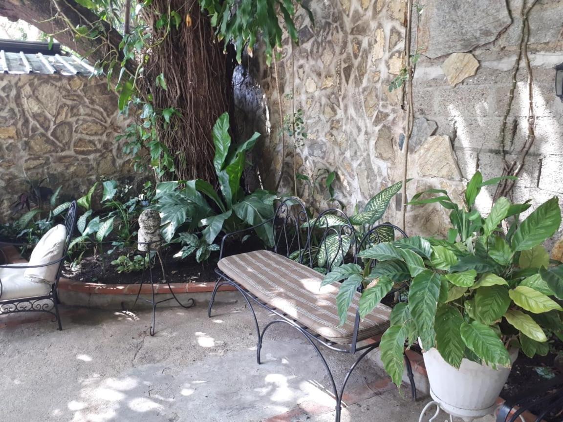 Hotel Alcaldeza - Garden House Maria Guadalupe サントドミンゴ エクステリア 写真