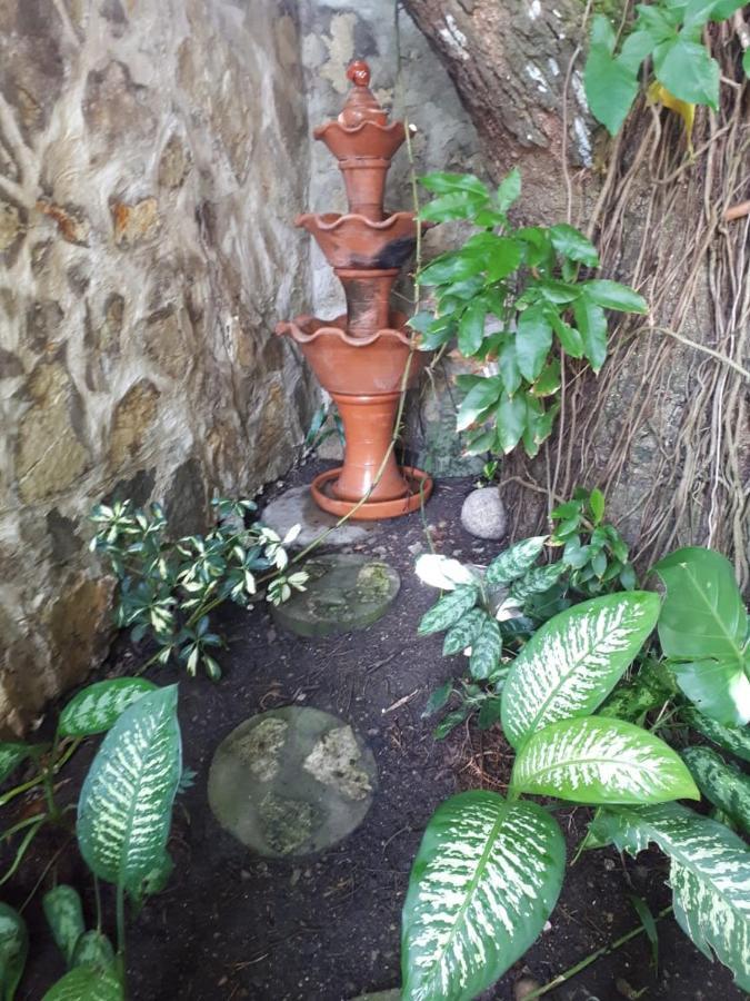 Hotel Alcaldeza - Garden House Maria Guadalupe サントドミンゴ エクステリア 写真